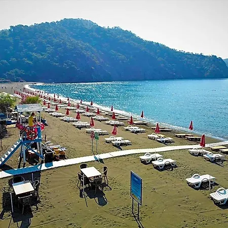 Gunlu